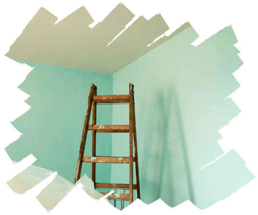 cleaners ladder